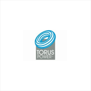 torus logo